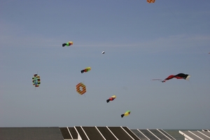 oost 10-5-2009 (31)