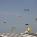 oost 10-5-2009 (34)