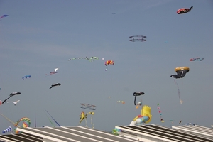oost 10-5-2009 (34)