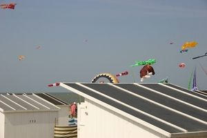 oost 10-5-2009 (36)