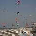 oost 10-5-2009 (37)