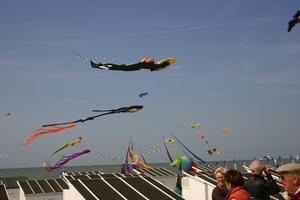 oost 10-5-2009 (39)
