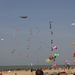 oost 10-5-2009 (40)