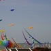 oost 10-5-2009 (43)