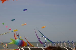 oost 10-5-2009 (43)