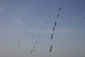 oost 10-5-2009 (45)