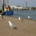 oost 10-5-2009 (56)