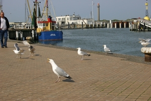 oost 10-5-2009 (56)