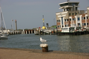 oost 10-5-2009 (59)