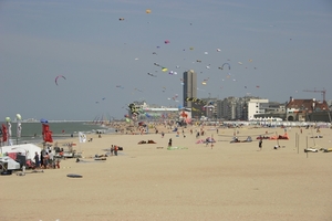 oost 10-5-2009 (7)