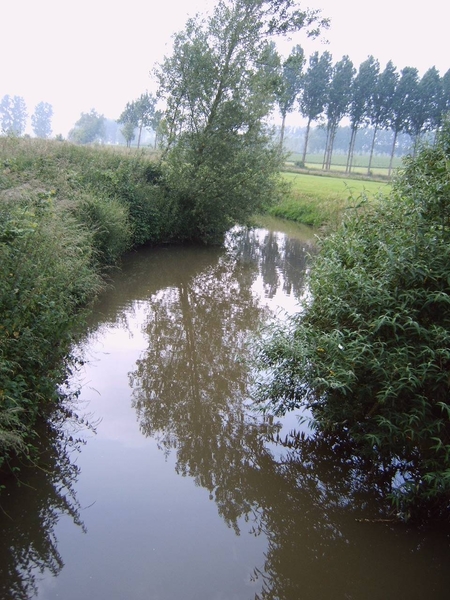 De zwalm aan de paddestraat in de Ronde van vlaanderen