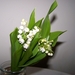 Muguet ( Lelietje van dalen)