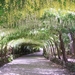 Bodnant Garden