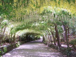 Bodnant Garden