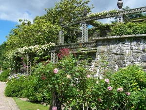 Prachtige oude muur met bloemen!