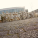 PICT0111
