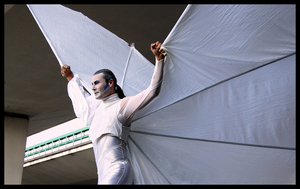 parade 24