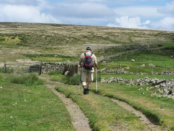 wandelen,Engeland,schapen,Wales