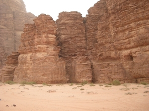 DSCN0650
