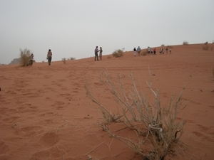 DSCN0652