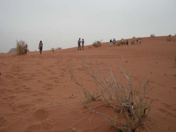 DSCN0652