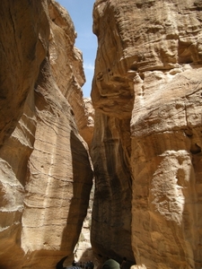 DSCN0688