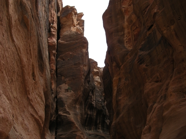 DSCN0707