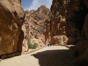 DSCN0711