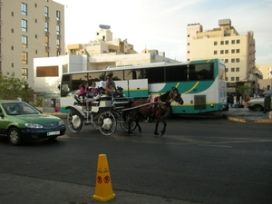 DSCN0778