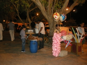DSCN0800
