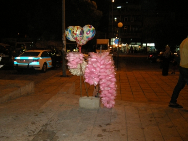 DSCN0801