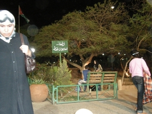 DSCN0802