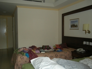 DSCN0809