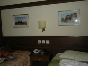 DSCN0810