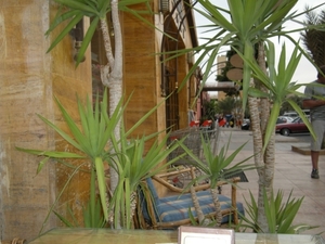 DSCN0837