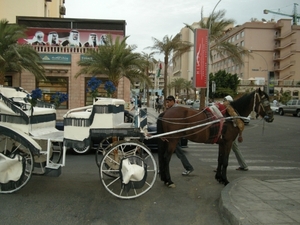 DSCN0839