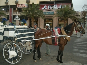 DSCN0840