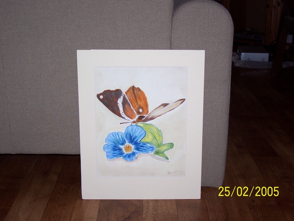 Vlinder op een bloem olieverf