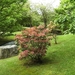 2009-05-06 (60)