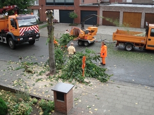 Versnipperen van de takken