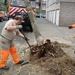 Losmaken wortels en omtrekken stam