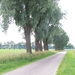 Puur natuur