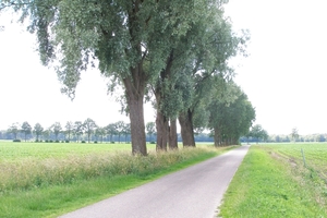 Puur natuur