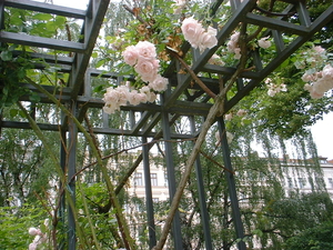 Am Chamissoplatz im Rosengarten 1