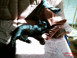 Eigene Bilder 2 04.04.2009 12-43-51