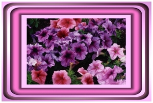 Eigene Bilder 2 15.03.2009 16-09-59