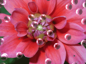 Eigene Bilder 2 19.02.2009 15-35-22