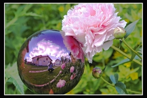 Eigene Bilder 2 19.06.2005 09-48-44