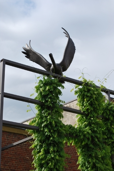 2009-05-08 Mechelen (167)