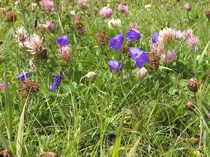 BILD4632